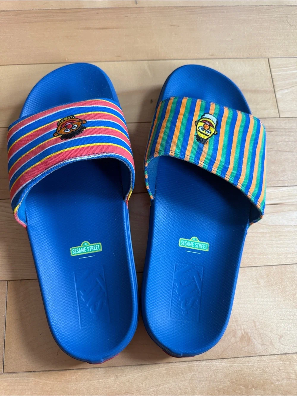 Vans Sesame Street Bert & Ernie Stripe Slide Sandals